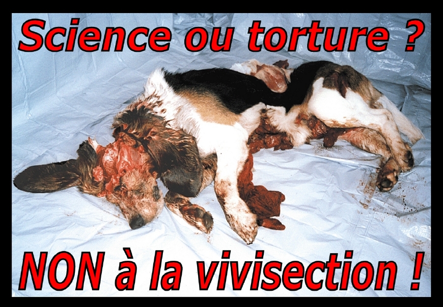 Panneau Science ou torture