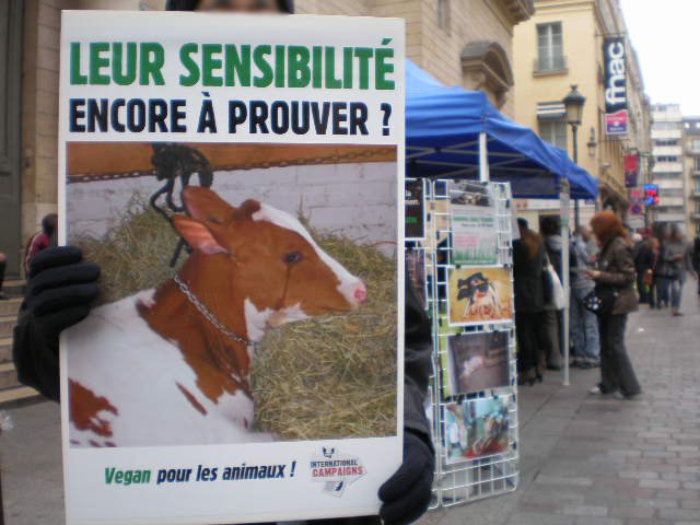 Cyberaction Journée Sans Viande