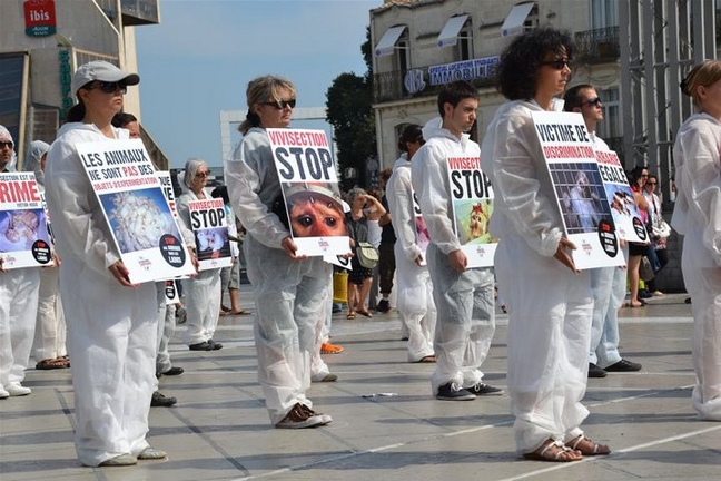 Expérimentation animale à Montpellier : STOP ! – 17 septembre 2011