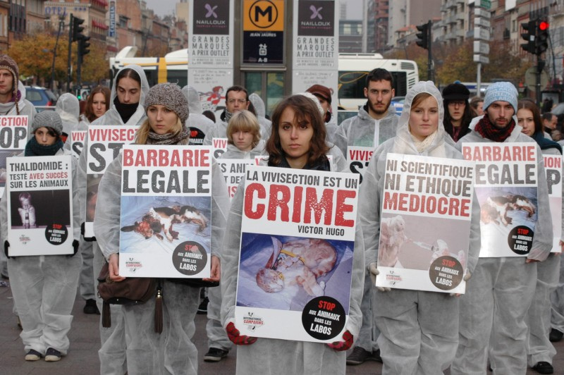 Happening contre l’expérimentation animale à Toulouse – 26 novembre 2011