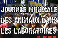 Journée Mondiale Animaux Laboratoires