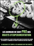Visuel Les animaux ne sont pas des objets d'expérimentation