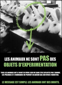 Visuel Les animaux ne sont pas des objets d’expérimentation