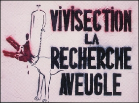 Visuel Vivisection la recherche aveugle