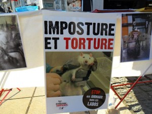 Dénoncer et protester contre la vivisection