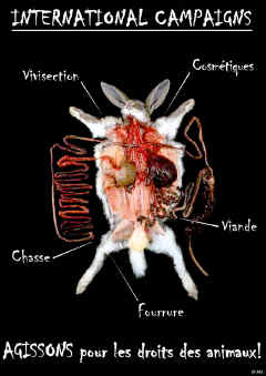 Affiche Agissons pour les droits des animaux