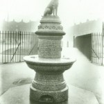 Grande-Bretagne – 1907 – Les émeutes du chien marron