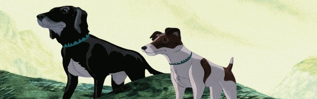 The Plague Dogs : un film contre la vivisection et sur la condition animale