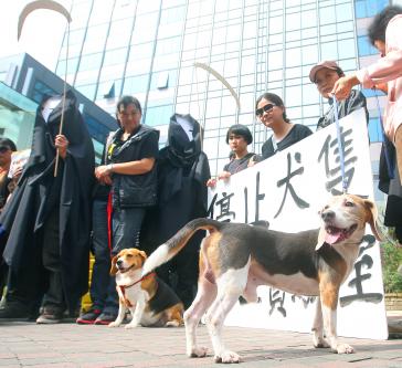 Chine – Taipei – Protestation contre la vivisection