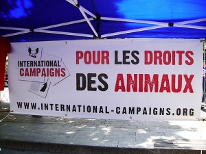 International Campaigns pour les droits des animaux