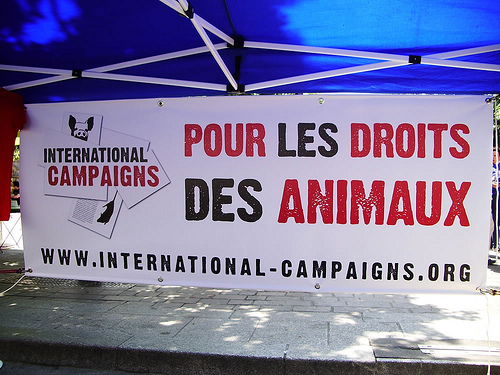02 juin 2012 – Paris – VegFest 2012