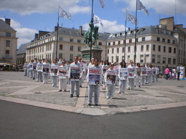 Orléans a protesté contre l’expérimentation animale – 23 juin 2012