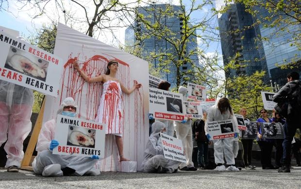 Canada – Vancouver : des militants manifestent à l’occasion d’un congrès provivisection