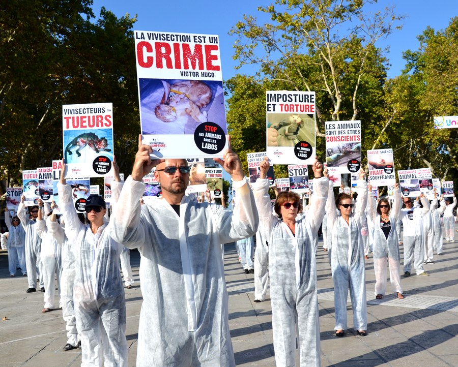 Expérimentation animale : Montpellier dit Stop !