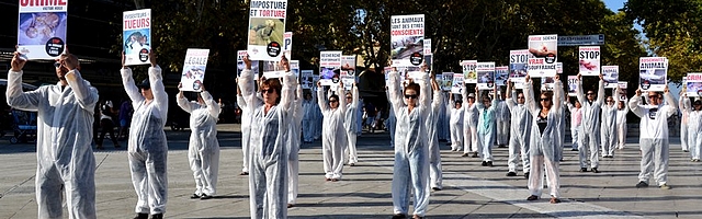 Nice se mobilise contre l’expérimentation animale