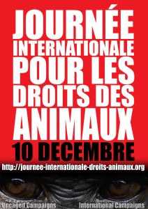 Journée Internationale Droits des Animaux 2012 Lille