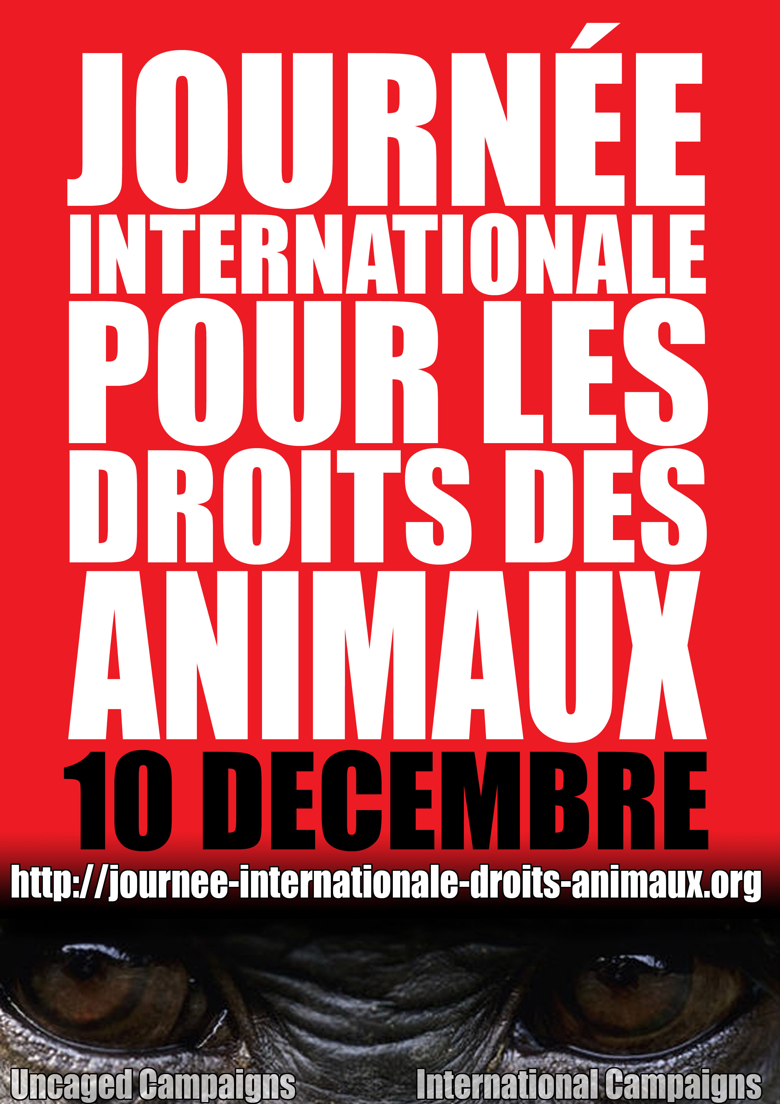 Paris – JIDA – Action de sensibilisation aux droits des animaux