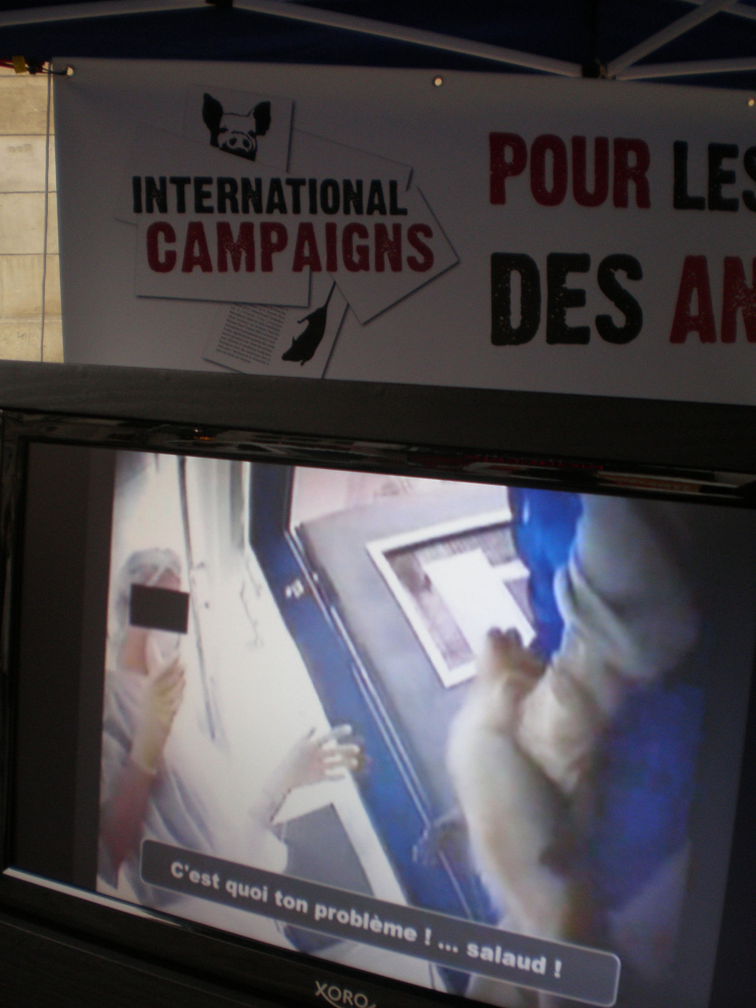 Paris – 17 novembre 2012 – Stand contre l’expérimentation animale