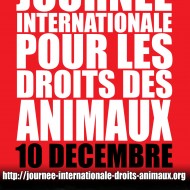 JIDA 2012 - Soissons - Samedi 15 décembre