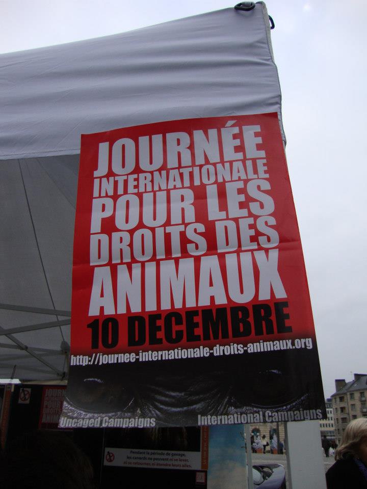JIDA 2012 – Orléans – Samedi 08 décembre