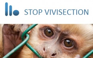 Initiative européenne contre l' expérimentation animale