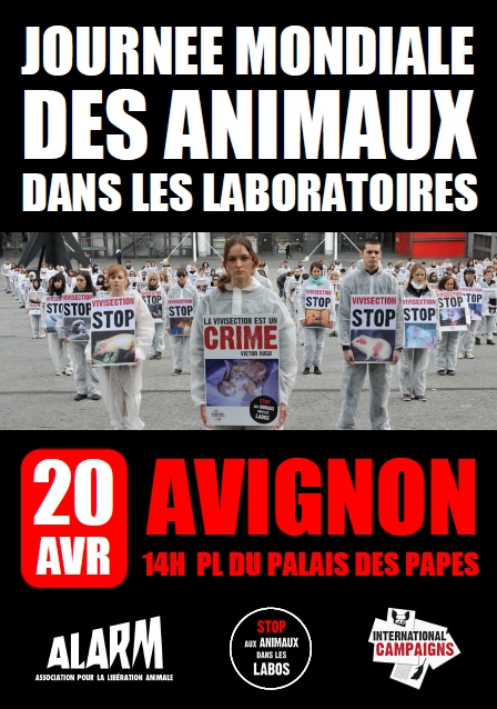 La Journée Mondiale des Animaux dans les Laboratoires en Avignon !