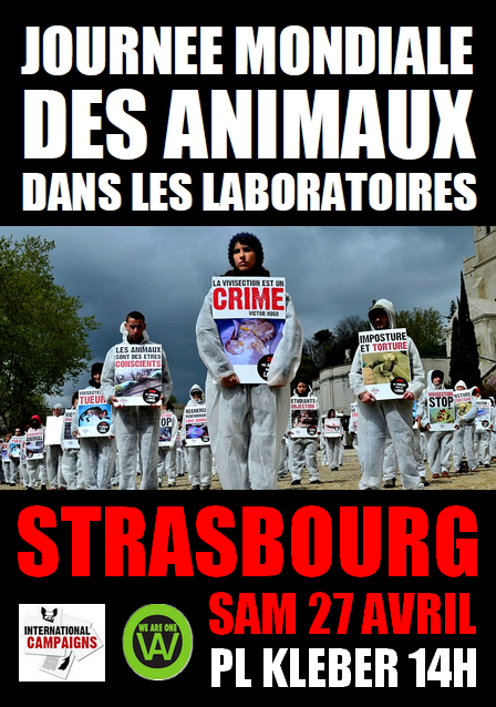 Journée Mondiale des Animaux dan,s les Laboratoires à Strasbourg samedi 27.04.13