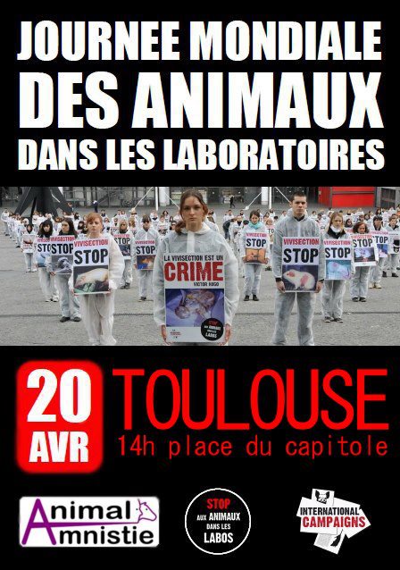 JMAL 2013 – Toulouse – Samedi 20 avril