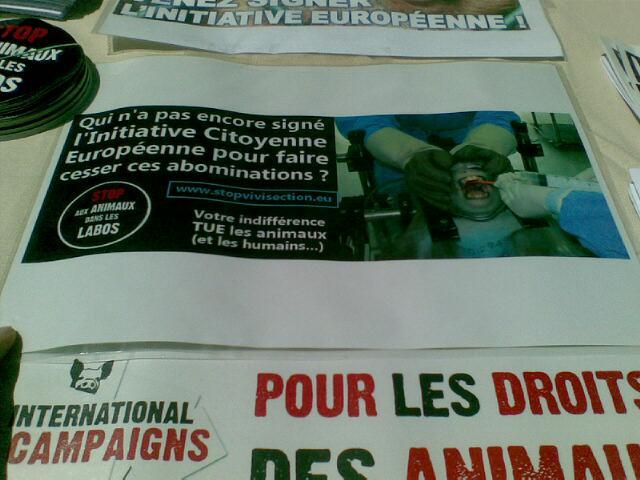 Dijon – 15 juin 2013 – Stand Stop aux Animaux dans les Labos