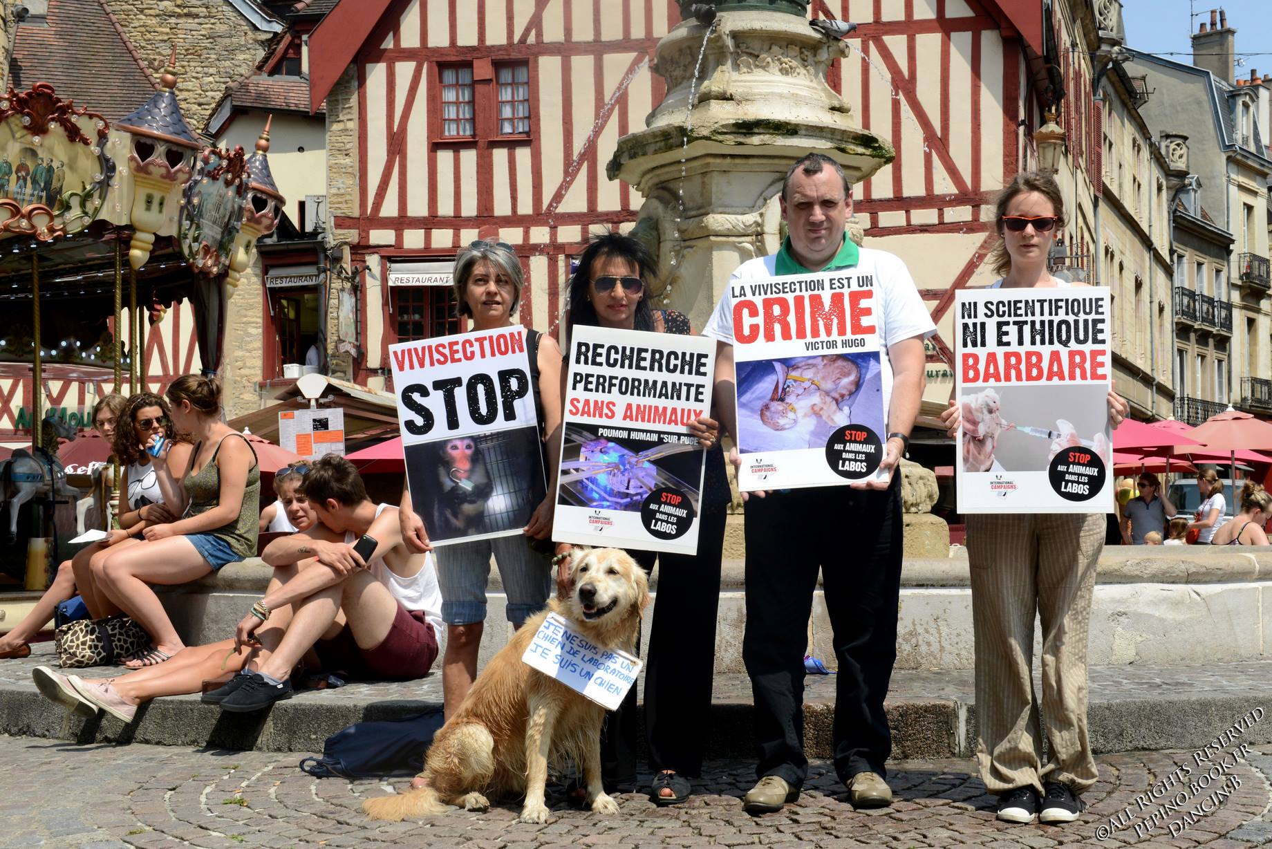 Dijon – 13  juillet 2013 – Stand Stop aux Animaux dans les Labos