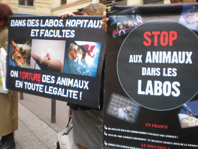 Paris – 19 octobre 2013 – Stand contre l’expérimentation animale et pour les droits des animaux
