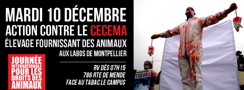 CECEMA Montpellier recherche animale