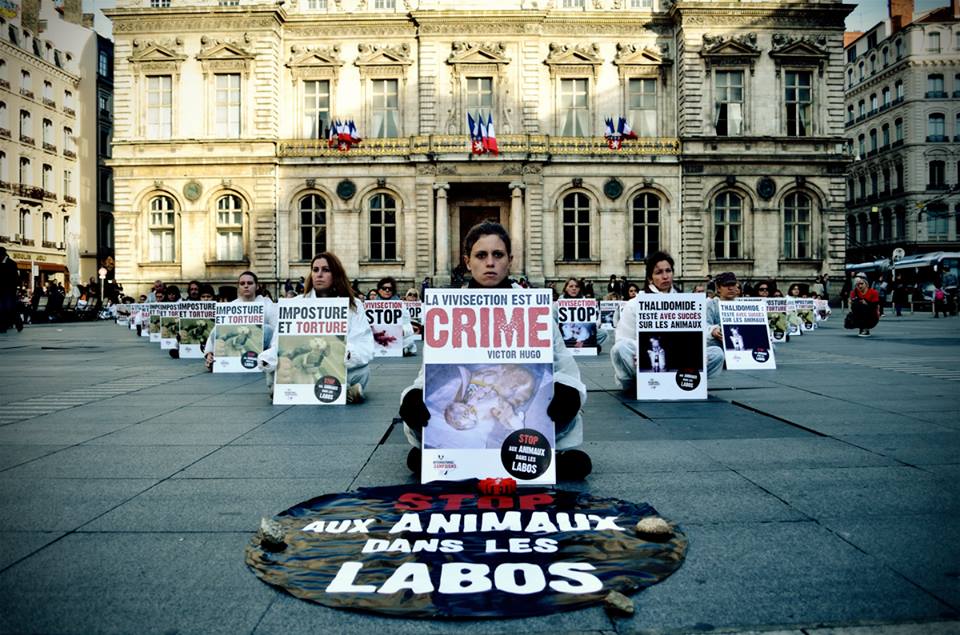 Lyon – 09 novembre 2013 – Happening géant contre l’expérimentation animale