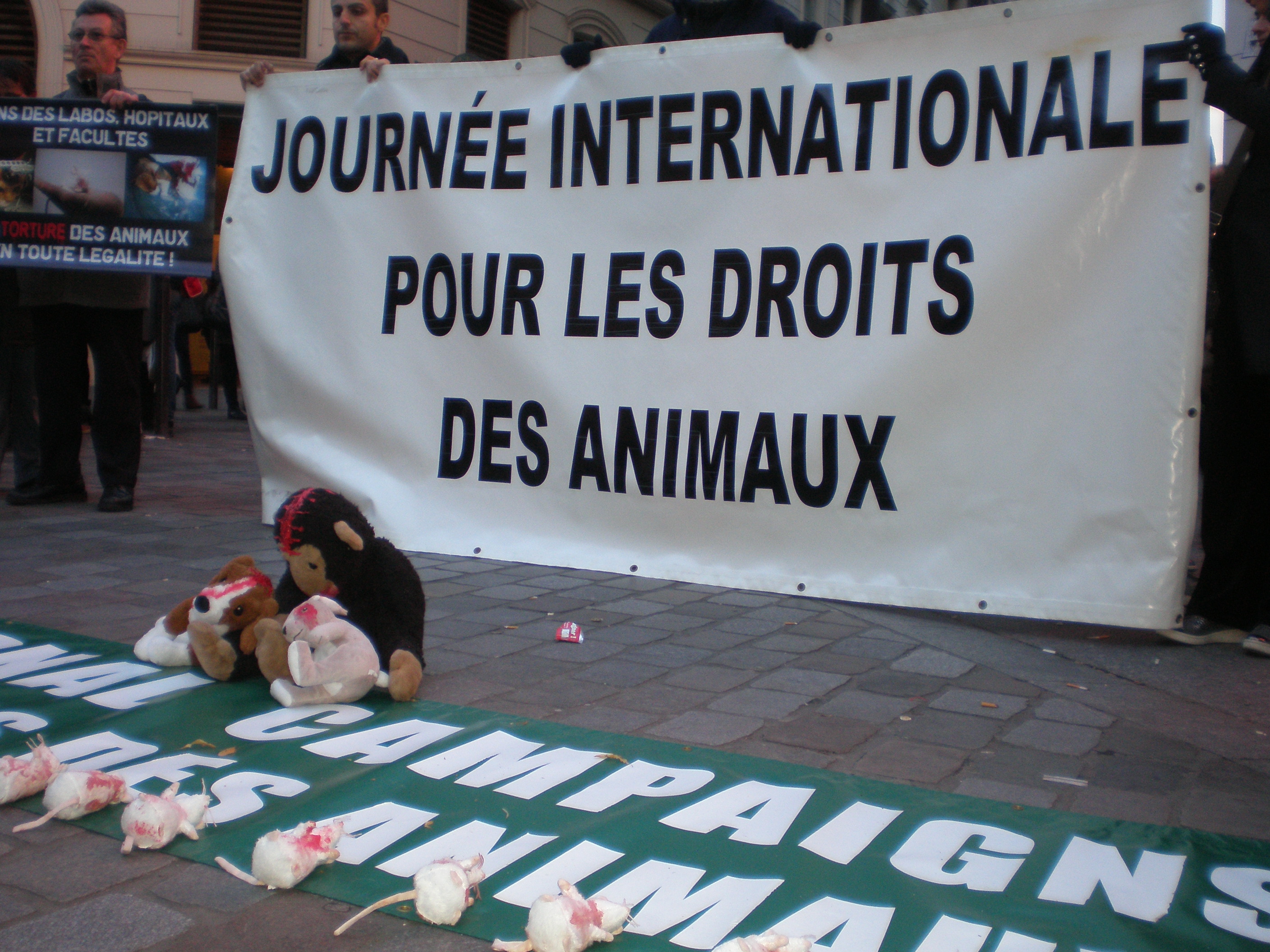 JIDA 2013 Paris – Pour les droits fondamentaux des animaux