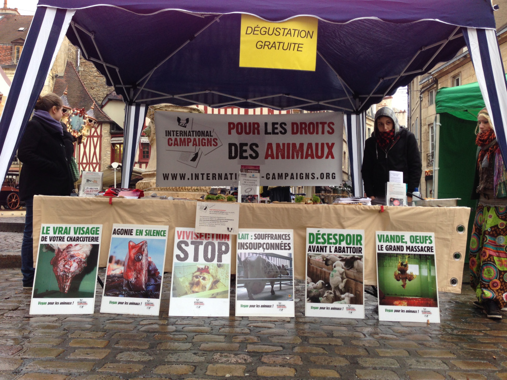 JIDA 2013 Dijon – Pour les droits fondamentaux des animaux