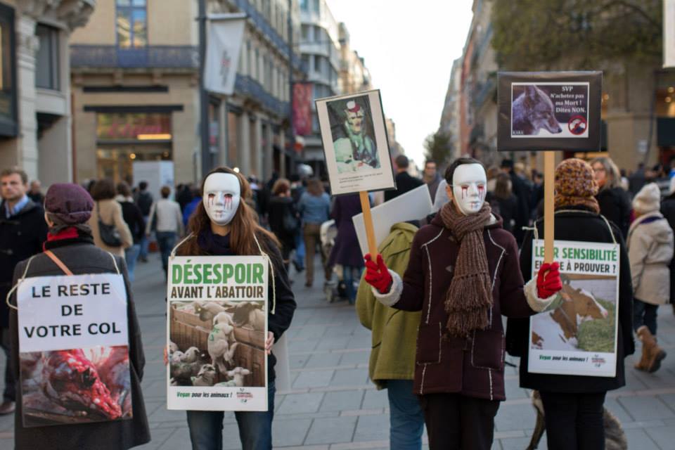 JIDA 2013 – Toulouse – Journée Internationale pour les droits des animaux