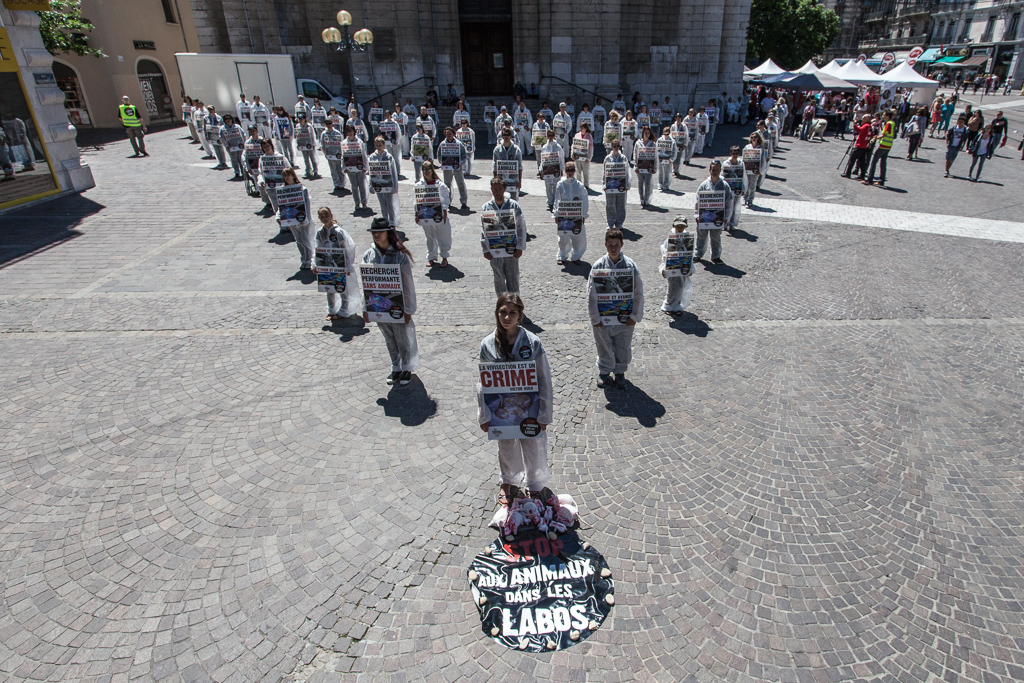 Grenoble – Europe SANG Vivisection – Samedi 24 mai 2014