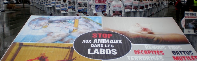 JMAL 2014 – Paris – Opération Cages Vides !