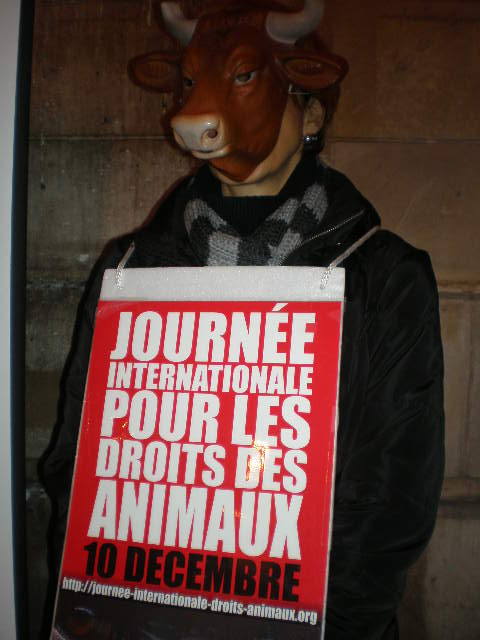 ORLEANS – Samedi 13 décembre 2014 – Journée Internationale pour les Droits des Animaux