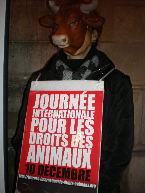 Journée Internationale pour les Droits des Animaux