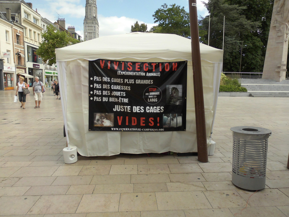 Reims – 06 septembre 2014 – Stand STOP aux animaux dans les labos et pour les droits des animaux