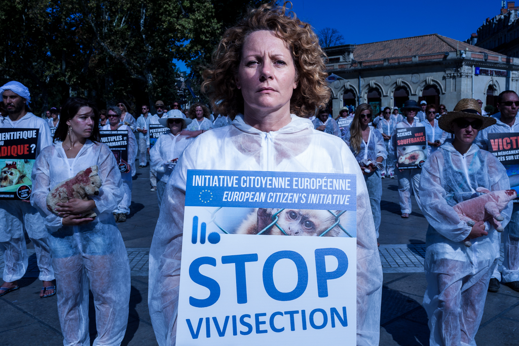 Montpellier soutient l’initiative citoyenne européenne Stop Vivisection