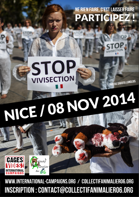 Nice – Happening Stop aux Animaux dans les Labos – 08 nov 2014