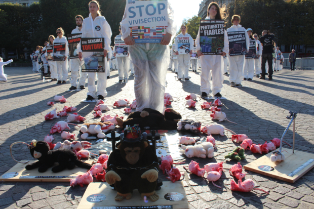 Opération "NON à l'Europe de la vivisection"