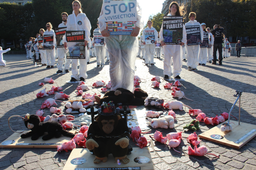 Lille – 18 octobre 2014 – Happening « NON à l’Europe de la vivisection ! »