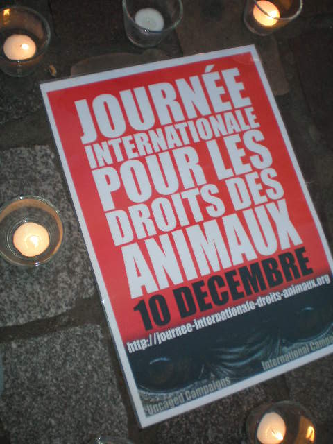 journée internationale droits des animaux Le Havre