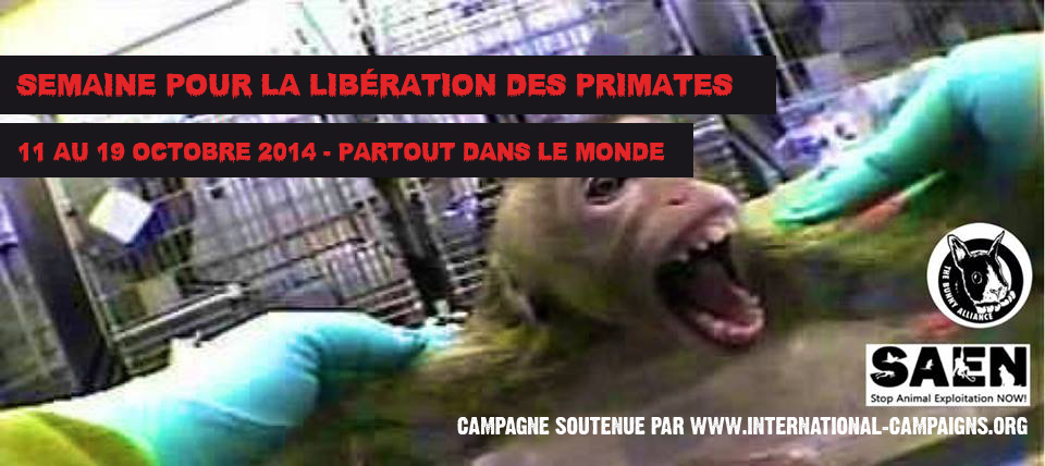Semaine pour la Libération des Primates – 11 au 19 octobre 2014