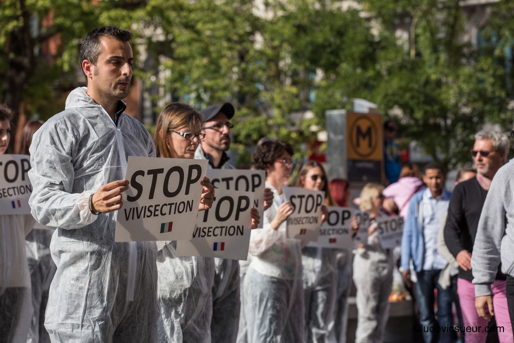 Toulouse : Non à la recherche animale, Oui à « Stop Vivisection » !