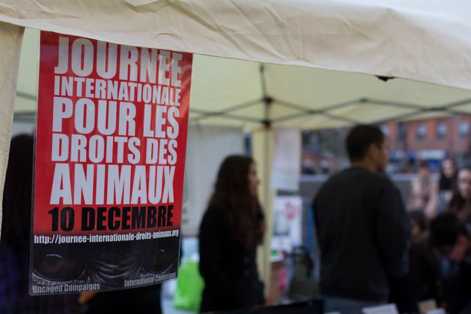 TOULOUSE – Samedi 13 décembre 2014 – Journée Internationale pour les Droits des Animaux