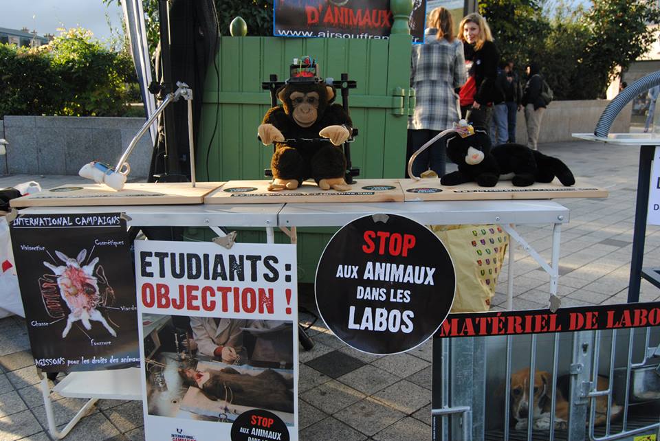 ORLEANS – Samedi 15 novembre 2014 – STOP aux animaux dans les labos